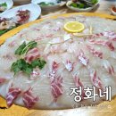 UR(목포시)-[고하대로]-상-4 | 목포 횟집 정화네, 가수 박지현도 반한 북항회센터 맛집! 참돔+반상차림 후기