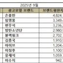 광고나라 Daum카페
