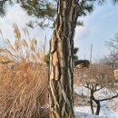 수관농장 이미지