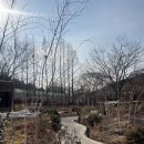 새마을연수원입구 | 분당 율동공원 초신상 카페,모쓰(MOSS),새마을연수원 입구에 위치한 대형 베이커리 브런치 카페...