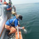 복사초등학교2 이미지