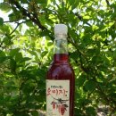 김가네농장 이미지