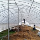 승규농장 이미지