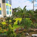 서호초등학교 병설유치원 이미지