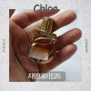 더 플러스 노마드행정사 | 끌로에 향수 추천, 노마드 자뎅 디이집트 EDP 후기 | 신상 장미향수의 고급스러운 무드