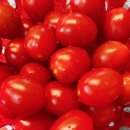 좋은야채 이미지