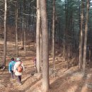 호텔 에버리치 이미지