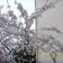 고현주유소 이미지