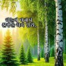 도원경로당 이미지