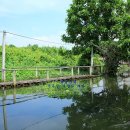 강가농장 이미지