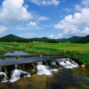 여름이네 이미지