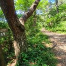 한아름 사슴 농장 이미지