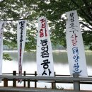 장성 태양광발전소 이미지