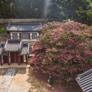 유교젓갈 이미지