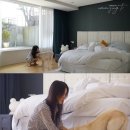 모닝종합관리 엑스포츠뉴스