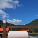 빵실하개 이미지