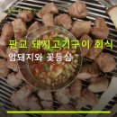운중로166번길 | 판교 돼지고기구이 회식 장소 암돼지와 꽃등심 가성비·주차·예약 정보 포함
