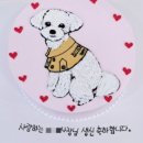 엔젤케익앤커피