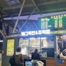 에그폭탄&주먹밥