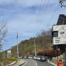 중명@ | 포항 아기랑 가볍게 산책하기 좋은곳 중명자연생태공원 후기