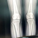 삼성동경희한의원 이미지