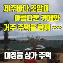 25시부동산공인중개사사무소 이미지