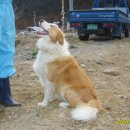 순천한우 농장 이미지