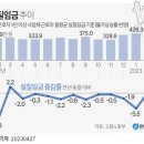 이유(EU) 이미지