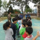 교동초교 병설유치원 이미지