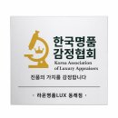 가죽의전당 | 루이비통 루프 호보백 실제전당후기