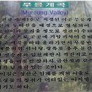 무릉계곡 5호 Daum카페