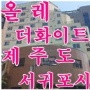 서귀동-19 이미지