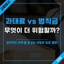 범칙금! 차량보험료 할증 됩니다. 이미지