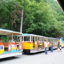 용연동굴 이미지