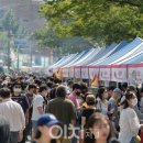 환경마실축제 네이버블로그