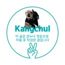 창원동물병원 | 정강철 방문기 가음정동 하늘동물병원 반려동물 5살 강아지 가격정보 주차정보 창원동물병원 추천 내돈내산