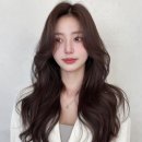 세나헤어 - 광주시 | 세나헤어
