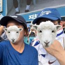 무인9 | 삼성 라이온즈 최다 관중 티셔츠 9/16 수령 후기 100사이즈 무인발권기위치