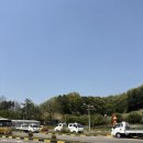 고려자동차학원앞 이미지