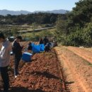 진현농장 이미지