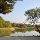 노블레스요양병원 이미지