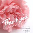 디자인보라
