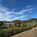 녹지어린이집 이미지