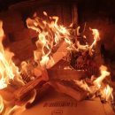 쫑이와메리 이미지