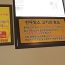 천우한우암소