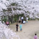 예양공원 이미지