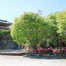 함안제일정비 이미지