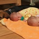 아기천사 이미지