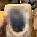 드림 골프 스쿨 | 달 미국여행 8살 딸래미의 생애 첫 미국_3탄(5~6주차) Six Flags(식스플래그), 아메리칸드림몰 그리고 일상