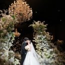 시온 | [라비니움 리츄얼홀 서브스냅] 시온아뜰리에 본식후기